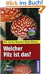 Welcher Pilz ist das?