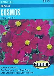 Cosmos Dazzler Seeds 55 Seeds