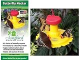 Songbird Essentials Butterfly Feeder and Nectar Combo