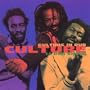 Culture in Dub: 15 Dub Shots
