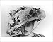 Photographic Prints of Picture Hat from Mary Evans