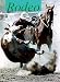 Books : Rodeo