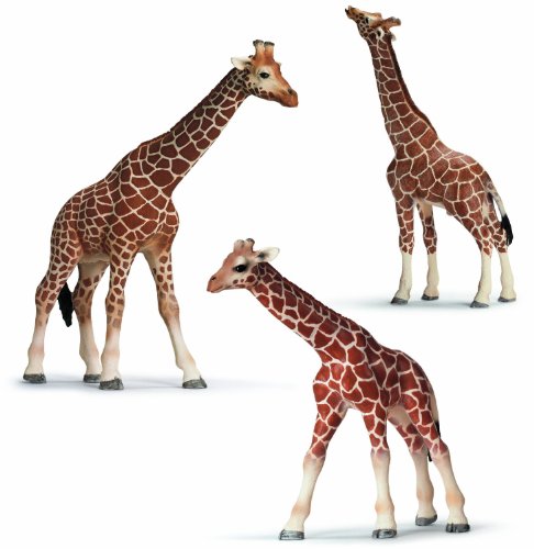 toys: Schleich Giraffe Set - Includes Male, Female, and Calf
