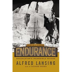 Endurance by Lansing Alfred