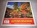 AUTUMN SPLENDOR Hoyle 550 Piece Jigsaw Puzzle: Moose Pond, Bridegeton, Maine