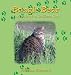 Bangle Bear: The Tale of a Tailless Cat