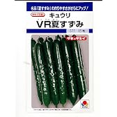 キュウリ種　タキイ交配ＶＲ夏すずみ　　　タキイ種苗のキュウリ種子です