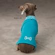 Zack & Zoey Small Bluebird Button Candy Dog Polo