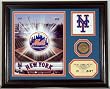 New York Mets "Team Pride" Photo Mint