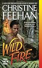 Wild Fire (Leopards, No 4)