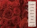 100 Wedding Programs Bulletins Red Roses Love Is Patient