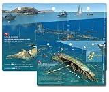 Rhone (Bow) Dive Site in Salt Island, BVI Waterproof 3D Dive Site Card