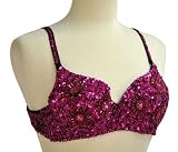 Sequin Beaded Belly Dancing Costume Top Bra FUCHSIA 51BjaIDxFEL. SL160 Sequin Beaded Belly Dancing Costume Top Bra FUCHSIA