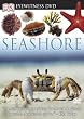 Seashore (Eyewitness Videos)