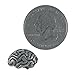 Jim Clift Design Brain Lapel Pin