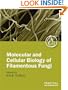 Molecular and Cellular Biology of Filamentous Fungi: A Practical Approach