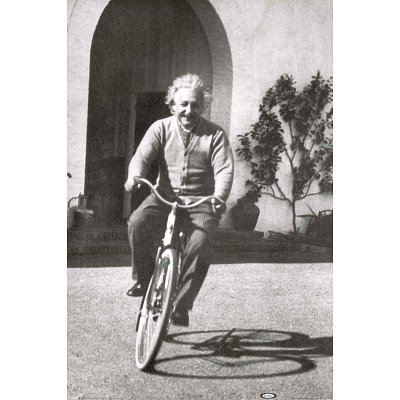 Albert Einstein Bike On Campus 24x36 Poster Print, 24x36 Photography Poster Print, 24x36