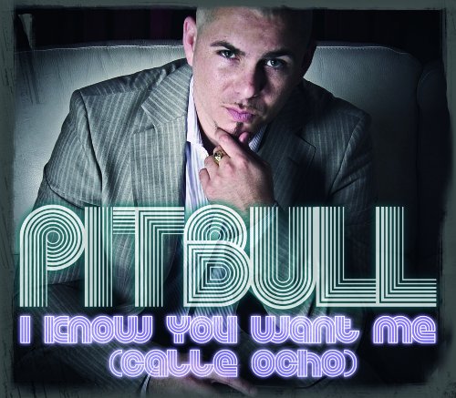 Pitbull - Ministry Of Sound Radio Presents On The Download - The Best Of 2009 - Zortam Music