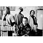 Dave Matthews Band - Bluegrass Backup - Poster
