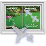 Window Alert Hummingbird Decals