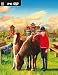 Video Games : Wild Life Park 2: Horses (PC DVD)