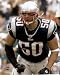 Mike Vrabel Patriots 8x10 Photo