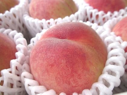 Ĺ������������꼫���ѡ֤��ס���Kg��8-12�����������