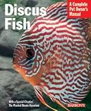 51BkHc5pb5L. SL160  Discus Fish Sale   Find The Right Dealer