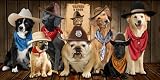 Review   / Western Cowboy Dog Beach Towel
