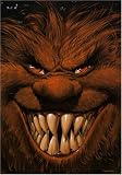 Revue Soleil Productions  / Trolls de Troy l'Intégrale, Tomes 1 à 4 :
