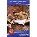 The Sheikh's Chosen Queen (Modern Romance)