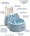 Kitchen & Housewares : Drinkwell Big Dog Pet Fountain