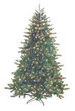 6.5' Just Cut Douglas Fir Pre-Lit Artificial Christmas Tree - Multi Lights