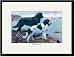 Black Framed/Matted Print 17x23, Two Newfoundlands