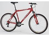 Olpran Extreme 20 Mountain Bike 2008 Aluminum