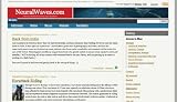 NeuralWaves.com