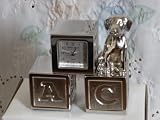 Desk Top Dog On Cubes Miniature Clock