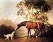 Bay Horse and White Dog by George Stubbs. Art Print Poster 29 inches width by 24 inches height. Highest Quality Art Poster Print