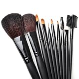 Best Price Makeup 10pcs. Professional Brush Set With Nylon Pouch --Black, Graduation gift idea