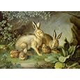 Hares And Leverets In A Rocky Lair by Johann Wenzel Peter. Art Print GICLEE on CANVAS 18 inches width by 15.25 inches height. Highest Quality