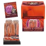 Buki - 20437 - Jeu Educatif - Science et Nature - Coffret G&eacute;ant de Dinosaures Herbivores &agrave; D&eacute;terrer