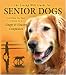 The Living Well Guide for Senior Dogs: Everything You Need to Know for a Happy & Healthy Companion