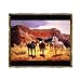 Horse Canyon Tapestry Throw Blanket