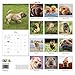 Shar Pei 2014 Wall Calendar