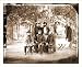 Civil War Photo (M): Harrisons Landing Va. Group of the Irish Brigade