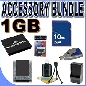 BigVALUEInc Accessory Saver Bundle for Panasonic Lumix DMCFX01, DMCFX07, DMCFX100,... by BigVALUEInc
