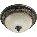 Hunter 83003 Aventine Bathroom Fan with Light and Nightlight, Aged Bronze