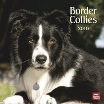 Border Collies 2010 Wall Calendar