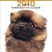 pomeranian18  - Pomeranian 2010 Square Wall ARTLIST