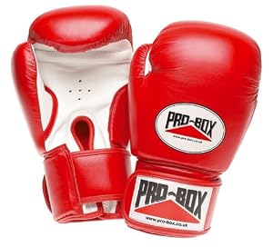 Red Sparring Gloves 10oz